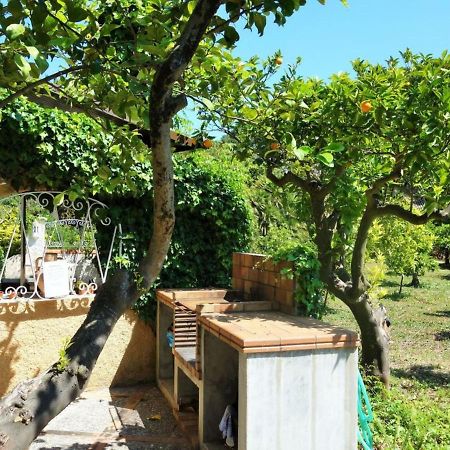 Finca Es Verger Des Port Villa Soller Exterior photo